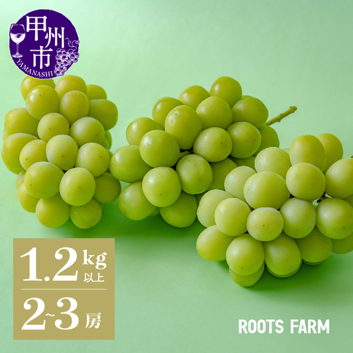 高品質なROOTS FARMシャインマスカット 1.2kg以上 2〜3房入[2027年発送](RO)B12-135 シャインマスカット フルーツ