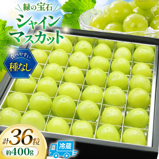 【2026年発送】 シャインマスカット 先行予約 ひと口 BOX 36粒入り 約 400g