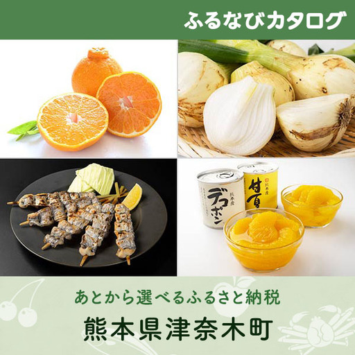【有効期限なし！後からゆっくり特産品を選べる】熊本県津奈木町カタログポイント