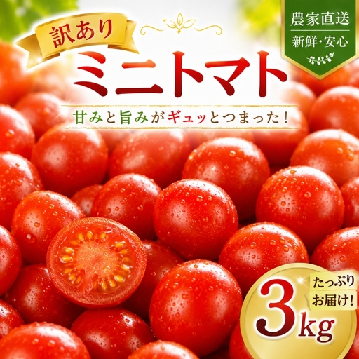 先行予約 ミニトマト 訳あり 3kg ミニトマト