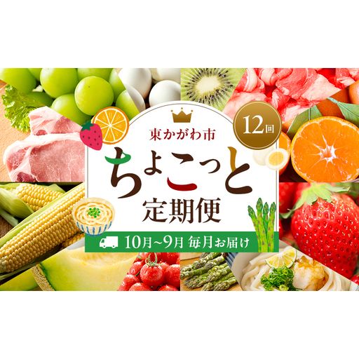 東かがわ市ちょこっと定期便(12回) 卵 キウイ 黒毛和牛 みかん いちご 讃岐うどん アスパラ トマト メロン コーン 豚肉 シャインマスカット 香川