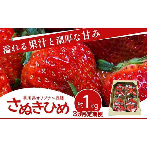 香川讃岐の毎月食べたい定期「さぬきひめいちご 1kg」3ヶ月定期便