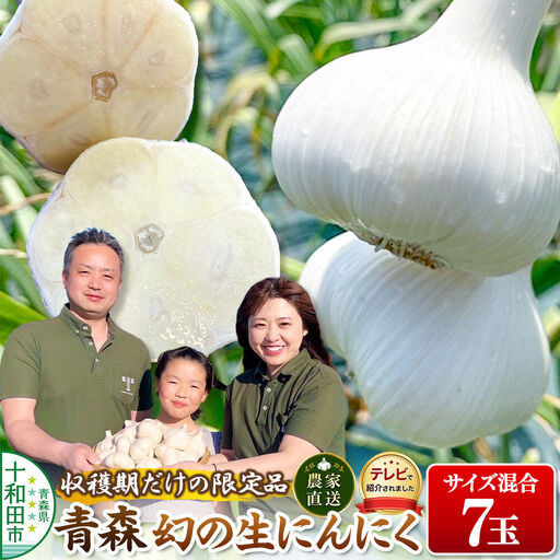 【2027年収穫分】先行受付【テレビ紹介】青森 幻の生にんにく7玉（農家直送・収穫期だけの限定品） 青森にんにくファーム