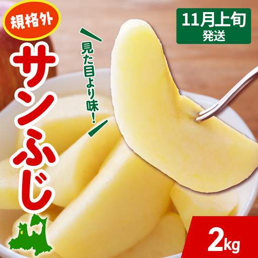 [2026年11月上旬発送] りんご 約 2kg サンふじ [規格外] 青森県産 りんご