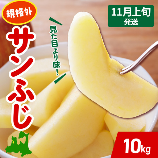 【2026年11月上旬発送】 りんご 約 10kg サンふじ 【規格外】 青森県産 りんご