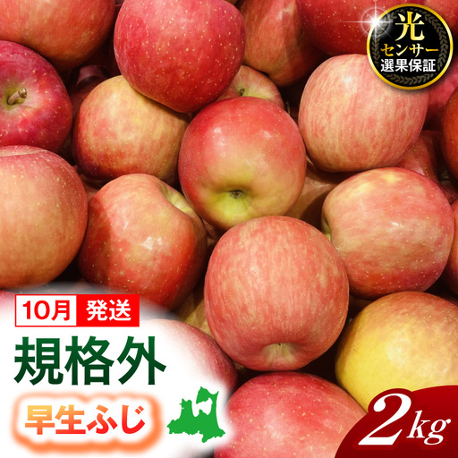 [2026年10月発送][規格外] りんご 約2kg 早生ふじ [ 光センサー選果保証 ] 青森県産 りんご フルーツ