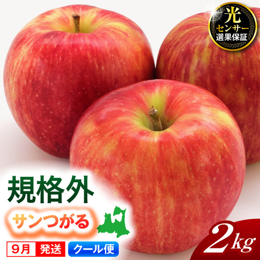 [2026年9月発送][規格外] りんご サンつがる 2kg 光センサー選果保証 青森県産 りんご