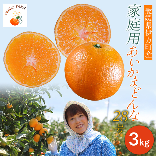 [先行予約]家庭用 あいかまどんな28号 3kg IK