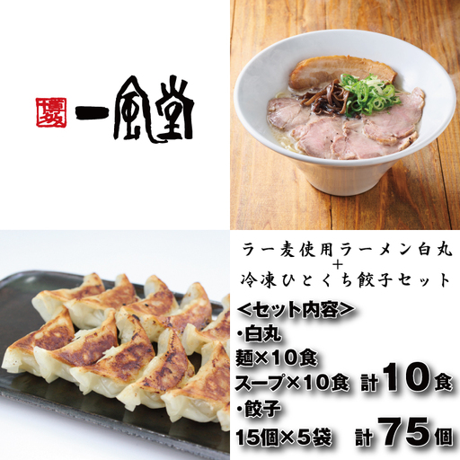 AE305.【一風堂】白丸ラー麦麺10食とひとくち餃子5袋セット【豚骨ラーメン】