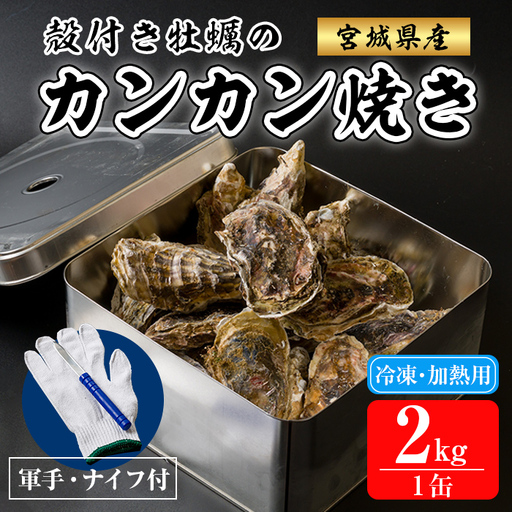 殻付き牡蠣 カンカン焼きセット 冷凍 2kg 加熱用 宮城県産 牡蛎 牡蠣 カキ かき オイスター カキフライ 牡蠣鍋 海鮮 国産 魚貝類 バーベキュー BBQ 【カタクチ商店株式会社】tm742