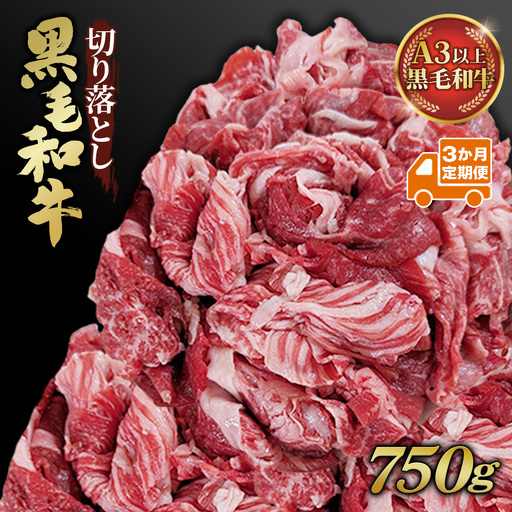 [3か月定期便]黒毛和牛切り落とし250g×3パック No.633