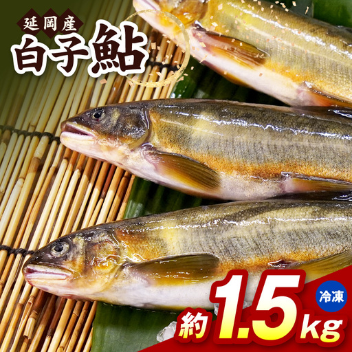 [冷凍]白子鮎約1.5kg N070-YA865-2
