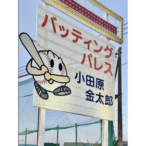 バッティングパレス 3000円分チケット
