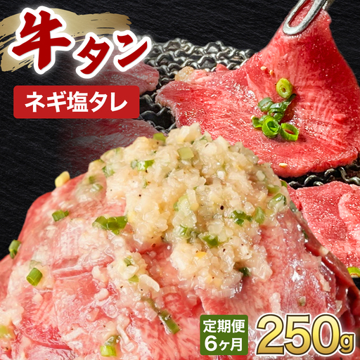 訳あり 牛タン 250g×1パック ネギ塩タレ漬け【6ヶ月定期便】[058-t06-a036]