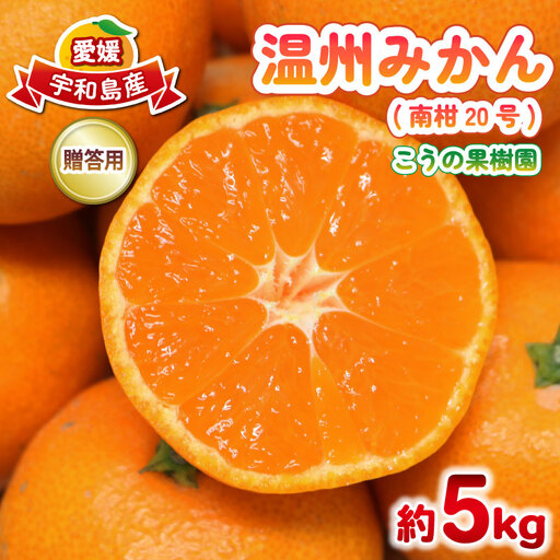贈答用 南柑20号 みかん 5kg M～L サイズ こうの果樹園 温州みかん 温州 愛媛みかん 愛媛蜜柑 愛媛ミカン うんしゅう みかん ミカン 蜜柑 mikan 果物 フルーツ 柑橘 甘い 甘味 産地直送 農家直送 数量限定 国産 愛媛 宇和島 B010-182010