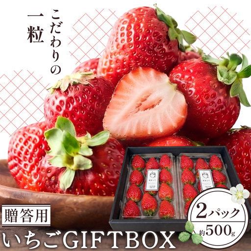 いちご 苺 贈答 ギフト ボックス 2パック 約500g