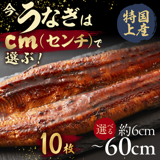 [うなぎ蒲焼 60cm(6cm×10枚)]今、うなぎはセンチで選ぶ! 長さ選べる 国産 蒲焼 カット鰻 ウナギ unagi カット済 うな重 冷凍 うな丼 ストック タレ付 選べる 簡単 簡単調理 訳あり 規格外 人気 三河 愛知県 豊橋市
