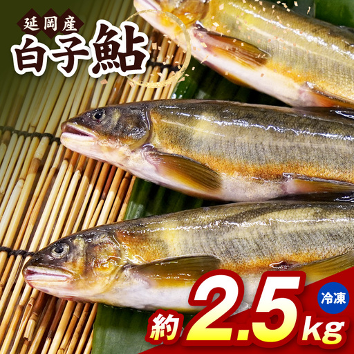 【冷凍】白子鮎約2.5kg N070-YB926-2