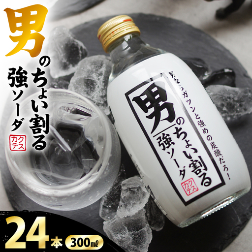 ソーダ 男のちょい割る強ソーダ 300ml × 24本