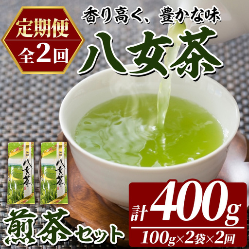 ≪定期便・全2回≫八女茶 煎茶 セット (100g×2袋×毎月連続2回) 茶 お茶 八女茶 煎茶 パック 福岡県産 定期便 頒布会 【木村食品】as46-061