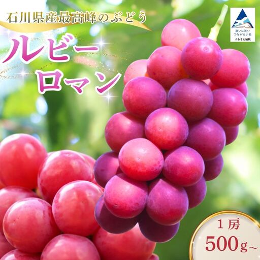 [2027年先行予約]ルビーロマン ぶどう 1房 500g 以上