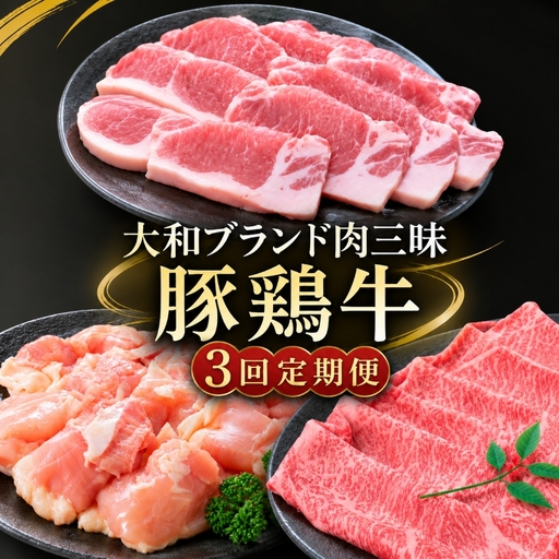 [定期便3回] 奈良 大和ブランド肉定期便