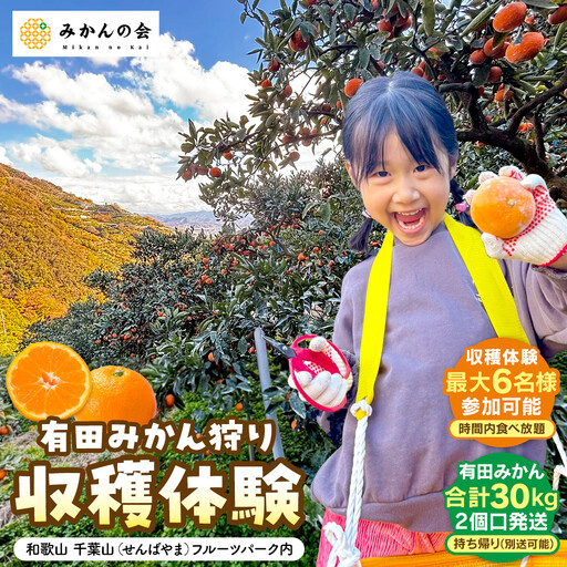 [2026年分先行受付]有田みかん狩り 収穫体験 1グループ(最大6名まで)有田みかん 30kg 付き 和歌山 千葉山(せんばやま)フルーツパーク内