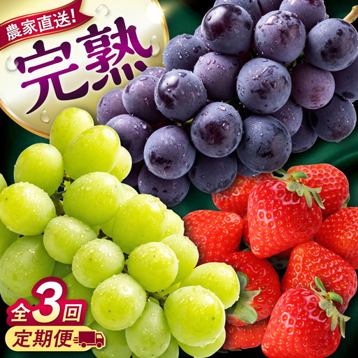 [先行予約][2026年8月下旬発送開始][全3回定期便]果物定期便 ピオーネ(約1kg)&シャインマスカット(約1kg)&いちご(500g) 計2.5kg 食べ比べ / 旬の時期にお届け ぶどう ブドウ 苺 ストロベリー フルーツ 果物 くだもの 青果[有限会社 高司農園][AYDP005]