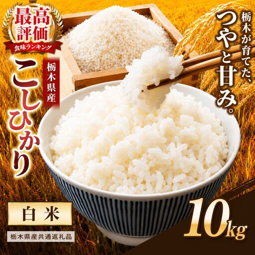 【栃木県共通返礼品】栃木県産コシヒカリ 白米 10kg
