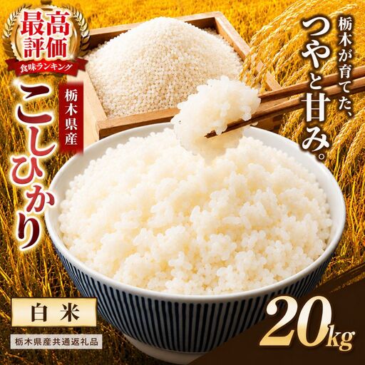 【栃木県共通返礼品】栃木県産コシヒカリ 白米 20kg