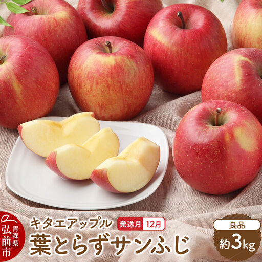 りんご 葉取らず サンふじ[良品]約3kg [12月発送]りんご
