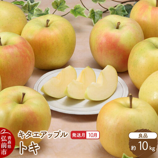 【26年10月発送】りんご トキ【良品】約10kg キタエアップル 青森県 弘前市