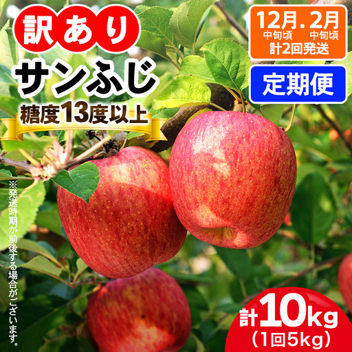 [訳あり] [定期便／12月中旬頃＆2月中旬頃の計2回発送]  りんご サンふじ 5kg (14玉から20玉入り／計2回・合計10kg) 見た目にわけあり 味はそのまま [1015]
