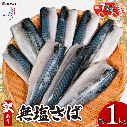 [ スピード配送 ] 訳あり 無塩さば 1kg さば