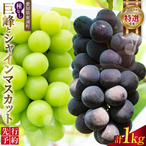 [先行予約][2026年8月発送]東浦町産 種なし巨峰とシャインマスカット(約1kg)