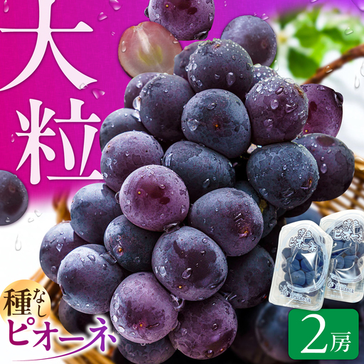 ピオーネ 2パック(約700g)[AFAB115]