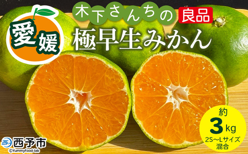[木下さんちの極早生みかん 良品 約3kg(2S〜Lサイズ混合)]『2026年10月に順次出荷予定』柑橘類 ごくわせ 早生ミカン 蜜柑 果物 くだもの フルーツ 甘酸っぱい あまずっぱい 国産 キロ 特産品 木下農園 西宇和 愛媛県 西予市[常温]MKS0016