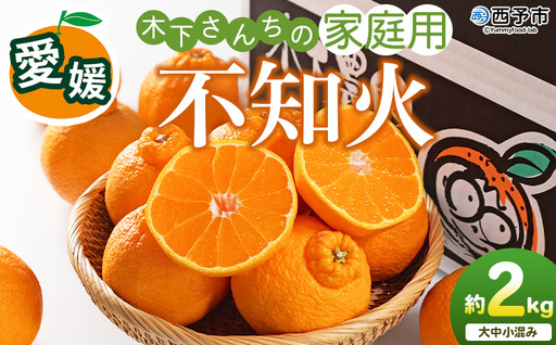 [木下さんちの不知火 家庭用 約2kg(大中小混み)]『2027年3月に順次出荷予定』柑橘 しらぬい でこぽん デコポン ご自宅 みかん ミカン 蜜柑 果物 くだもの フルーツ 果実 特産品 木下農園 西宇和 愛媛県 西予市[常温]MKS0018