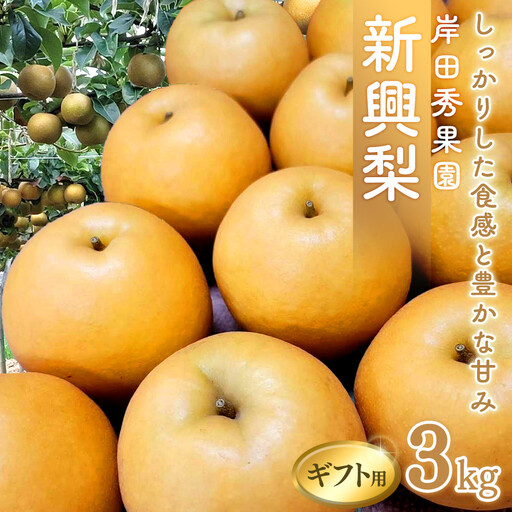 梨 岸田秀果園 新興梨 (ギフト用) 3kg 10月頃お届け