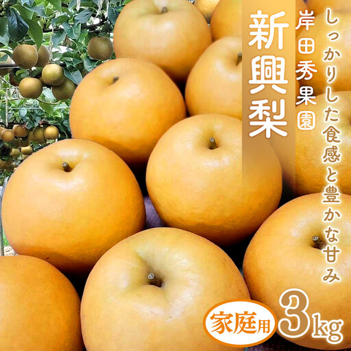 梨 岸田秀果園 新興梨 (自家用)3kg 10月頃お届け