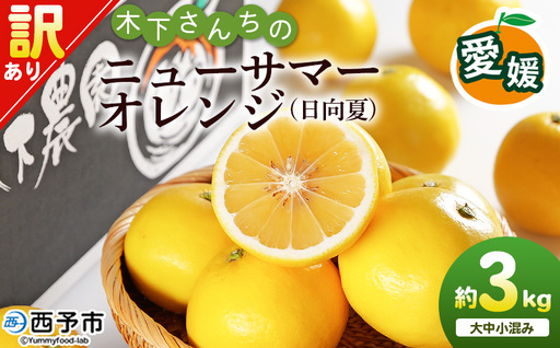 [木下さんちのニューサマーオレンジ 訳あり 約3kg(大中小サイズ混み)] 柑橘類 日向夏 ミカン 蜜柑 果物 くだもの フルーツ 国産 特産品 木下農園 愛媛県 西予市[常温]『2027年4月上旬〜5月中旬に順次出荷』MKS0020