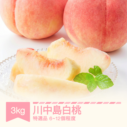 先行予約 川中島白桃 特選品 約3kg 令和8年産 tf-moknx3000
