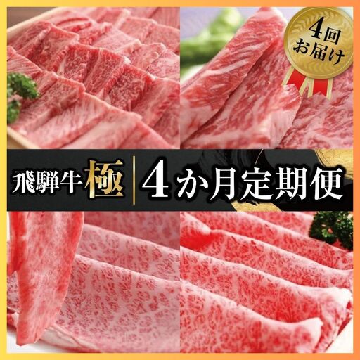 定期便 飛騨牛 