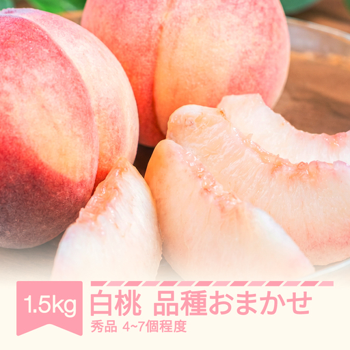 先行予約 白桃 品種おまかせ 秀品程度 約1.5kg 令和8年産 tf-moxxx1500