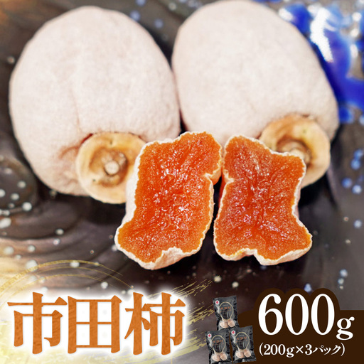 南信州産 市田柿 約600g（200g×3袋）　※2026年12月中旬～発送開始予定※　干し柿 柿 ドライフルーツ フルーツ 果物 長野県 長野県産　A-233
