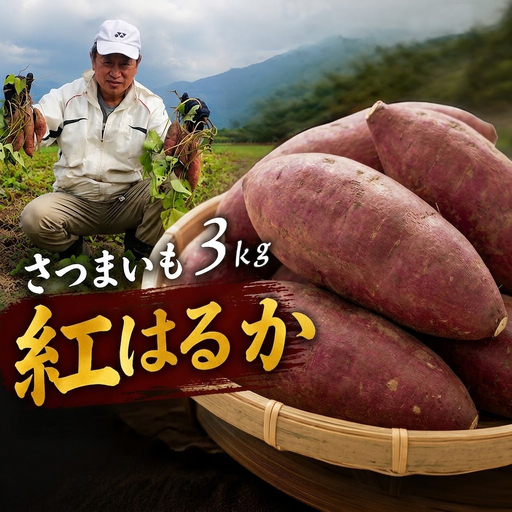 紅はるか さつまいも 3kg | 紅はるか