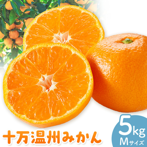 十万温州みかん M 5kg 田野農園[12月中旬-3月中旬頃出荷]鹿児島県 さつま町