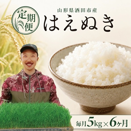 SF0375　【令和8年産 新米予約】≪6回定期便≫ 【精米】はえぬき　5kg×6回(計30kg)　「農家直送」 IN