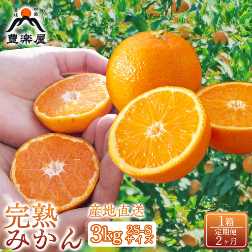 【定期便2ヶ月】【みかん本来の甘みを農家直送でお届け！】果汁たっぷり真穴産みかん 完熟みかん 3kg サイズ2S~S 1箱　全2回【98-23】YWTBU020