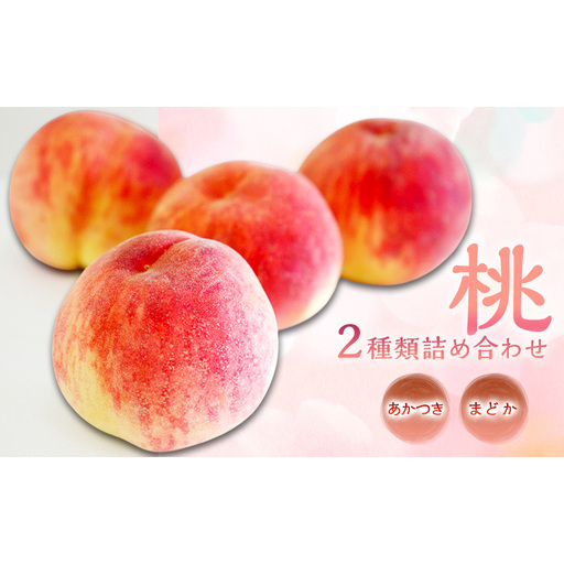 桃 2種類詰め合わせ3kg(あかつき・まどか) 長野県